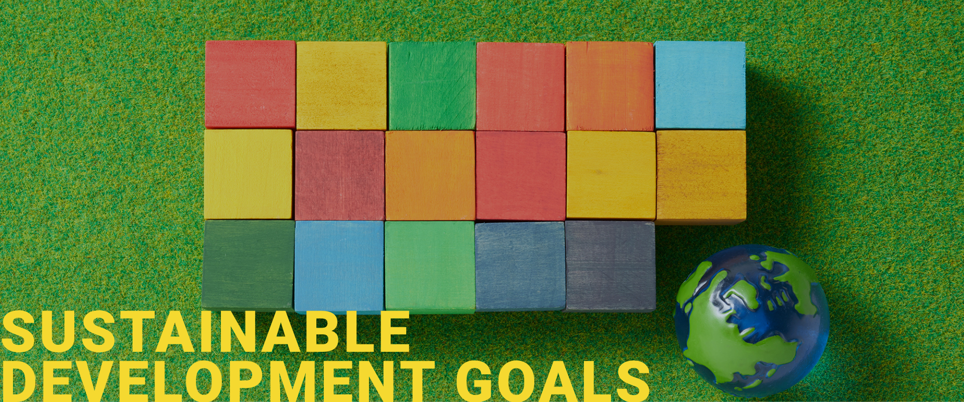 Sustainable Development Goals