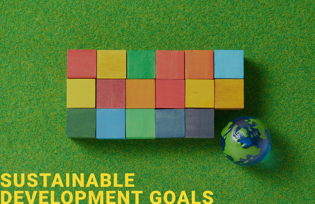 Sustainable Development Goals